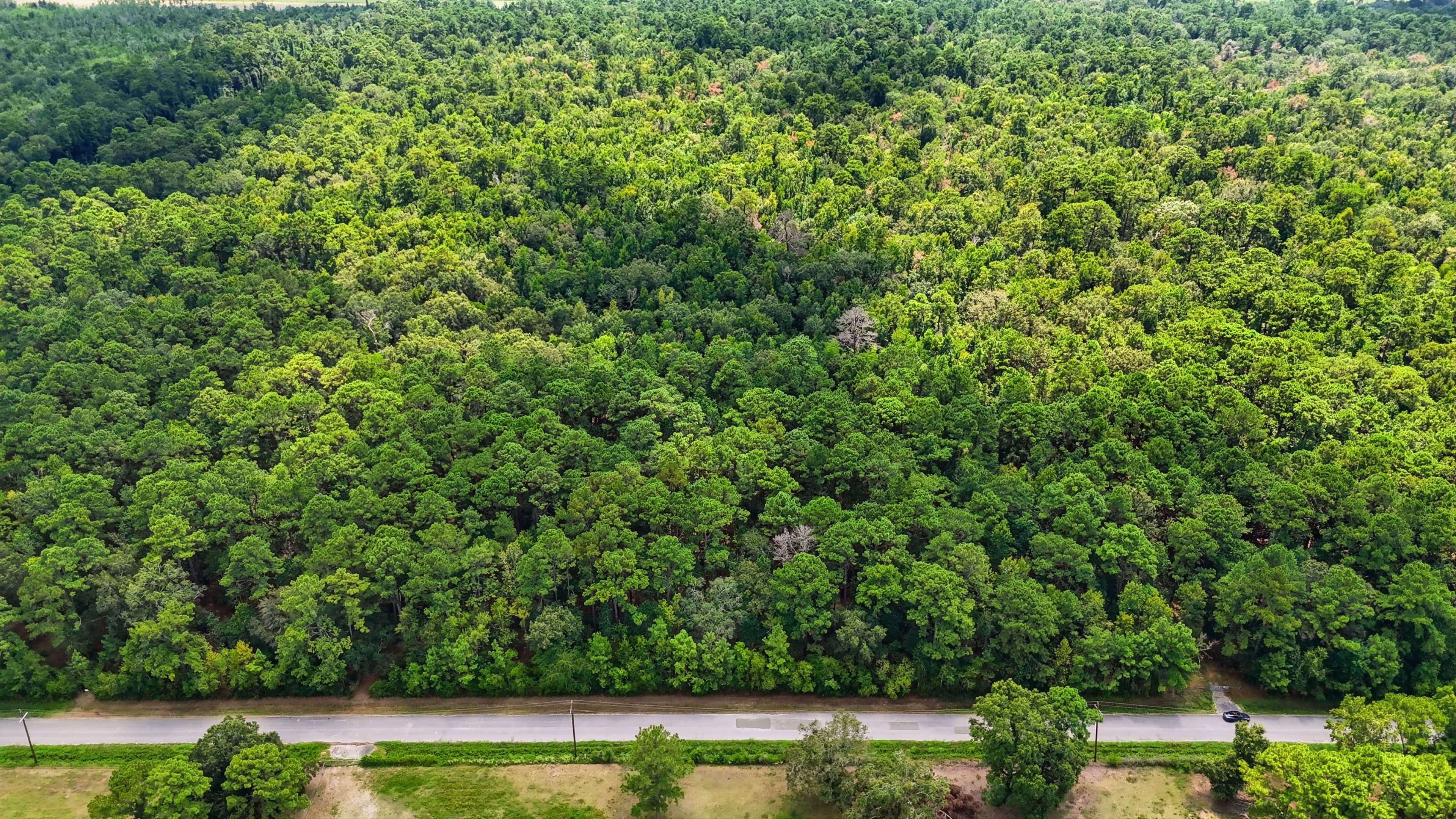 Liberty Land For Sale